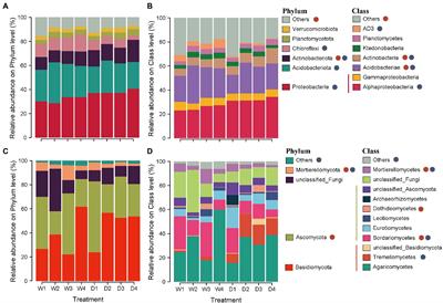 Forest succession improves the complexity of soil microbial interaction and ecological stochasticity of community assembly: Evidence from Phoebe bournei-dominated forests in subtropical regions